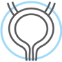 prostate icon in blue circle
